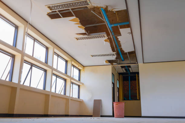 Best Water damage restoration near me  in Shamokin, PA