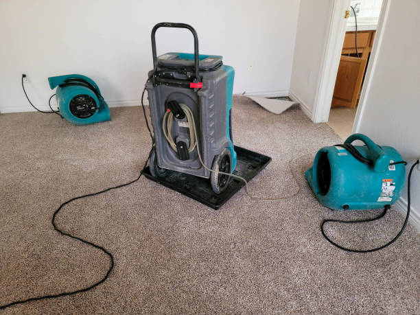  Shamokin, PA Water damage restoration Pros