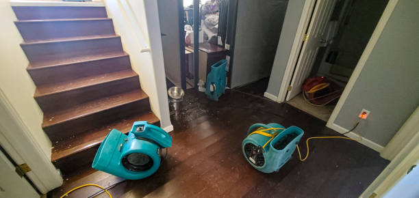 Best Ceiling water damage repair  in Shamokin, PA