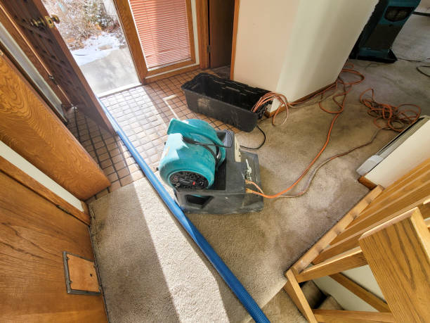 Best Sewage cleanup and water damage restoration  in Shamokin, PA