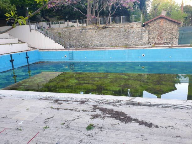 Best Flood restoration services  in Shamokin, PA