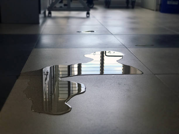 Best Commercial water damage restoration  in Shamokin, PA
