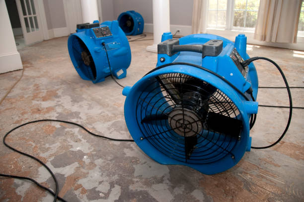 Best Residential water damage restoration  in Shamokin, PA