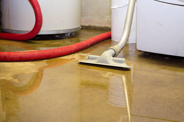 Best Flooded house restoration  in Shamokin, PA