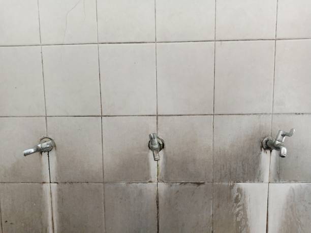 Best Water damage restoration near me  in Shamokin, PA