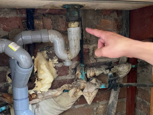 Best 24-hour water damage restoration  in Shamokin, PA