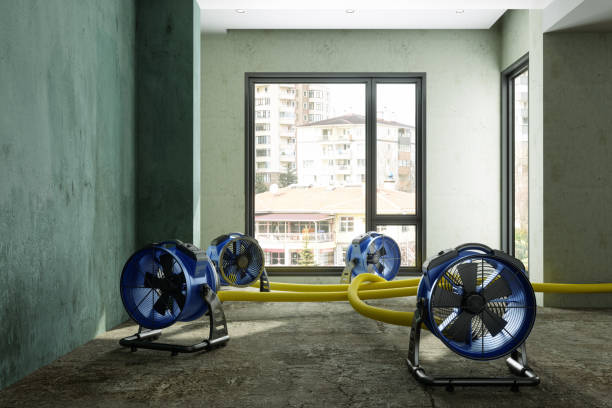Best Emergency water damage restoration  in Shamokin, PA